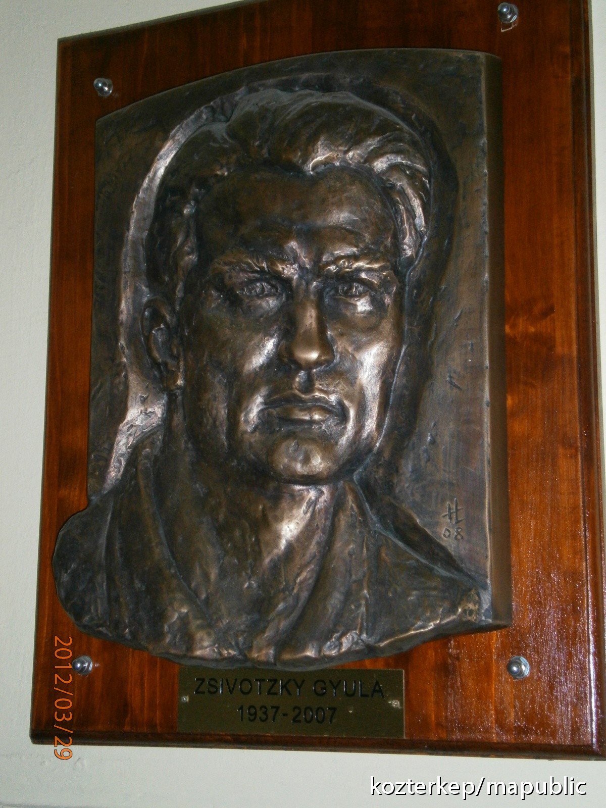 Zsivótzky Gyula Köztérkép