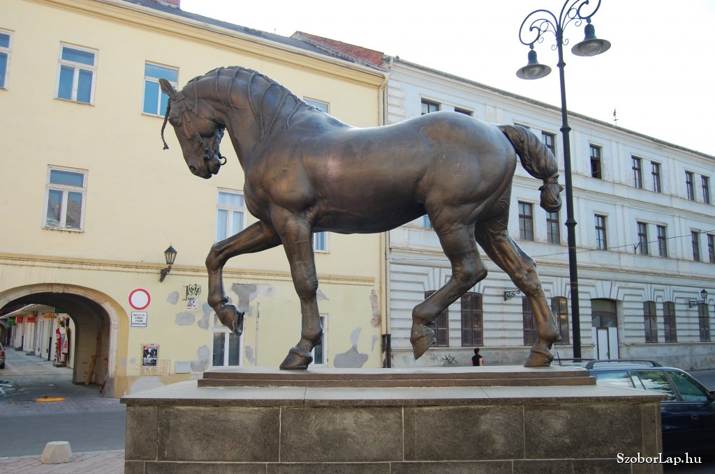 állatorvosi kosice